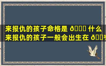 来报仇的孩子命格是 🐕 什么「来报仇的孩子一般会出生在 🌾 什么时候」